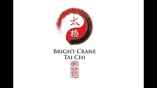 Bright Crane Tai Chi Theme [upl. by Emmeram]