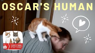 Kitten Loves Human Owner Who Adopted Him [upl. by Karissa323]