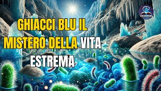 Ghiacci Blu Il Mistero della Vita Estrema  Scoperte Incredibili sulla Sopravvivenza al Freddo [upl. by Kress248]