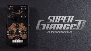 Catalinbread SuperCharged Overdrive Legacy Edition [upl. by Amsaj362]