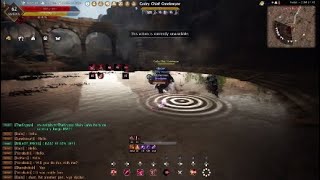 BDO i did the Cadry Gatekeeper Solo on my Lahn [upl. by Isma]