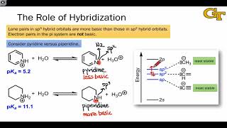 3305 Acidbase Properties of Heterocycles [upl. by Ymirej974]