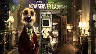 Funny New Compare The Meerkat Bloopers Out Take TV Advert LOL [upl. by Aner26]