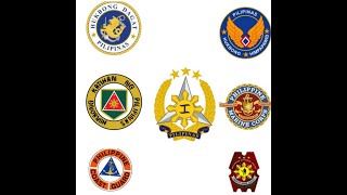 Military Ranks  Rank And Insignia  AFPPNPPCG  Philippines  Reserve Officer Vlog [upl. by Sevart]