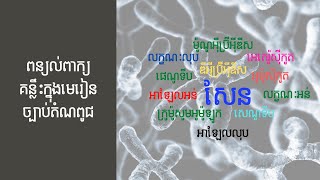 ពន្យល់ពាក្យគន្លឹះសំខាន់ៗនៅក្នុងមេរៀនច្បាប់តំណពូជ  ជីវវិទ្យា  ថ្នាក់ទី11 [upl. by Reivaxe]