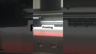 Vinyl printing [upl. by Ahsimin]