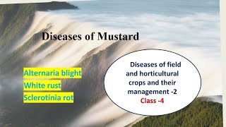 Diseases of Mustard  Alternaria blight  White rust  Sclerotinia rot  Plant Pathology [upl. by Kalinda]