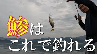 上級者は知ってるアジングのアクション！この釣り方でも鯵は釣れます！ [upl. by Collyer]