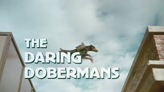 THE DARING DOBERMANS 1973 Trailer [upl. by Niala]