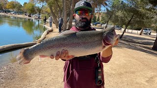 Fishing Hesperia Lakes for MONSTER rainbow Trout using BFS Setup Mini Jigs and Dropshot minnows [upl. by Netta]