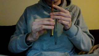 How to play quotMuirsheen Durkinquot On the tin whistle [upl. by Eisset141]