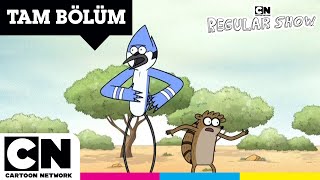 SÜREKLİ DİZİ  Mordecai ve Rigby Avusturalyada  TAM BÖLÜM  cartoonnetworkturkiye [upl. by Nayk]