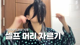 걸걸한 목소리와 함께 셀프 머리 자르기✂️ㅣ레이어드컷ㅣ앞머리🤗 [upl. by Grania710]