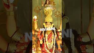 Maa Durga Ji Surajpur 😍 shorts maadurga durgapuja trending youtubeshorts shortvideo short [upl. by Delbert294]