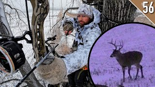 WINTER BOW HUNTING for BIG BUCKS Late Season on PUBLIC Land  Day 2 [upl. by Ahtaga371]