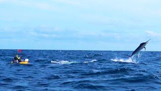 500Pound Marlin Tows Kayak Fisherman 15 Miles Out to Sea  Panama  Field Trips with Robert Field [upl. by Ydnar]