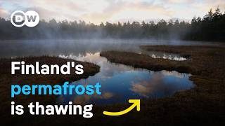 Melting wetlands  How can nature slow down climate change  DW Documentary [upl. by Nakada458]