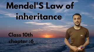 MendelS Law of Inheritance in urduHindi  Class 10th chapter 6 [upl. by Iorgos]