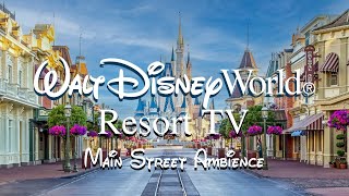 Disney Resort TV  Disney World Main Street Ambience  Beautiful Clouds  WDW Today Channel [upl. by Oiciruam]