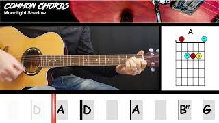 Moonlight Shadow  Mike Oldfield  EASY GUITAR CHORDS  Common Chords [upl. by Anedal]