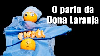 ASMR Portugal Parto da Dona Laranja  Cesariana [upl. by Recha]