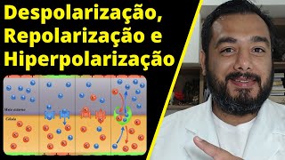 Despolarização Repolarização e Hiperpolarização  Fases do Potencial de Ação  Fisiologia [upl. by Anwahsal]