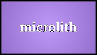 Microlith Meaning [upl. by Enirtak]