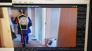 Ultra96 DNNDK Pose Detection Live Feed [upl. by Eves278]