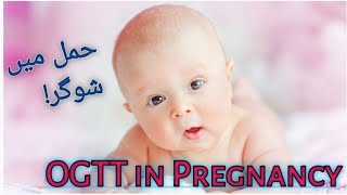 Oral Glucose Tolerance Test OGTT in pregnancy Geststional Diabetes GDM Sugar in pregnancy GTT [upl. by Polik108]