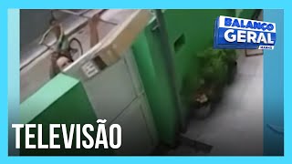 Entregador joga televisão por cima do muro e danifica o aparelho [upl. by Ailec]