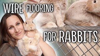 Wire Flooring for Rabbits  The TRUTH Tips for the best rabbit cage flooring [upl. by Etireugram]