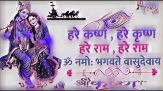 हरे कृष्ण हरे कृष्ण हरे राम हरे राम  ॐ नमो भगवते वासुदेवाय  prabhupada [upl. by Oznohpla]