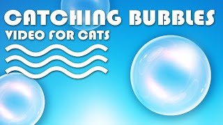 CAT GAMES  Catching Bubbles VIDEO FOR CATS TO WATCH  CAT TV [upl. by Balthazar775]