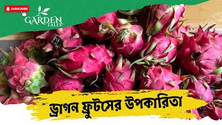 ড্রাগন ফলের উপকারিতা নিয়ে কিছু কথা [upl. by Panther301]