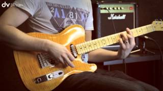 Fender Select Carved Top Telecaster Tone Demo [upl. by Corliss]