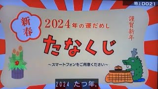 2355 【たなくじ】2024年の運はいかに？見逃した方はたなくじを引いて下さいね🐲 [upl. by Schach304]