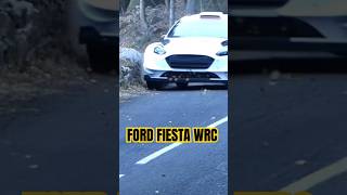 Rozando el muro  prueba rally Montecarlo 2020ford fiestawrc [upl. by Oicinoid]