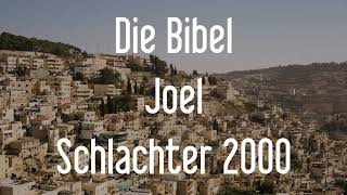 Joel  Die Bibel als Hörbuch Schlachter 2000 [upl. by Yarised]