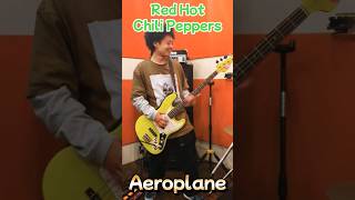 AeroplaneRed Hot Chili Peppers cover jayboy レッチリ [upl. by Nehte]