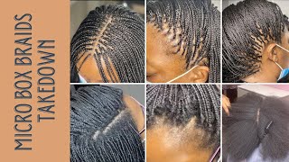 Micro Box Braids TAKEDOWN After 4 MONTHS [upl. by Neveda]