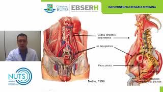 Aula 01 Fisiologia da Miccão 20170731 [upl. by Bridie]