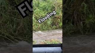 It’s Storming Again 🌧️ storm storms rain rainstorm tropicalstorm flood flooding hawaii [upl. by Dian809]