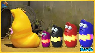 LARVA CARTOONS XẾP HÀNG  ẤU TRÙNG TINH NGHỊCH  PHIM HOẠT HÌNH CON SÂU HAY NHẤT 2024 [upl. by Ynotna]