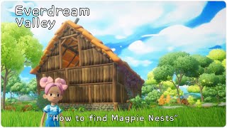 Everdream Valley quotHow to find Magpie Nests Treasure Hunterquot [upl. by Sheffie]