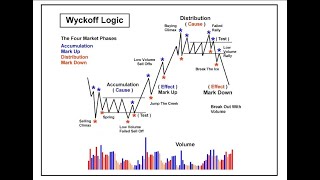 The Wyckoff Theory [upl. by Jerrine]