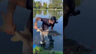 Piccolo STORIONE PESCATO con SARDE fishing sturgeon fishingvideo [upl. by Coreen]