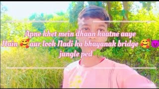 Apne khet mein dhaan kaatne aaye Hain 🥰 aur look Nadi ka bhayanak bridge 🥰😈 jungle ped ☘️ [upl. by Trebleht]