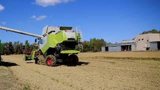 Sicurezza sul lavoro e innovazione aumentano gli incentivi a fondo perduto per l’agricoltura [upl. by Euqinom79]