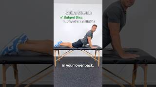 The Best Stretches For YOUR Lower Back Pain Not What You Think [upl. by Mitzl118]