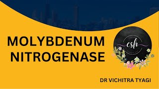 STRUCTURE OF MOLYBDENUM NITROGENASE [upl. by Nnaear886]